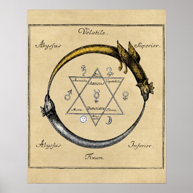 Póster Dragão e Serpente Ouroboros Mandala (Frente)