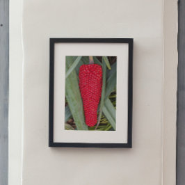 Póster Dragão Lily Red Seed Head