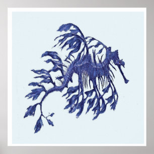 Poster Dragão Marinho Frágil