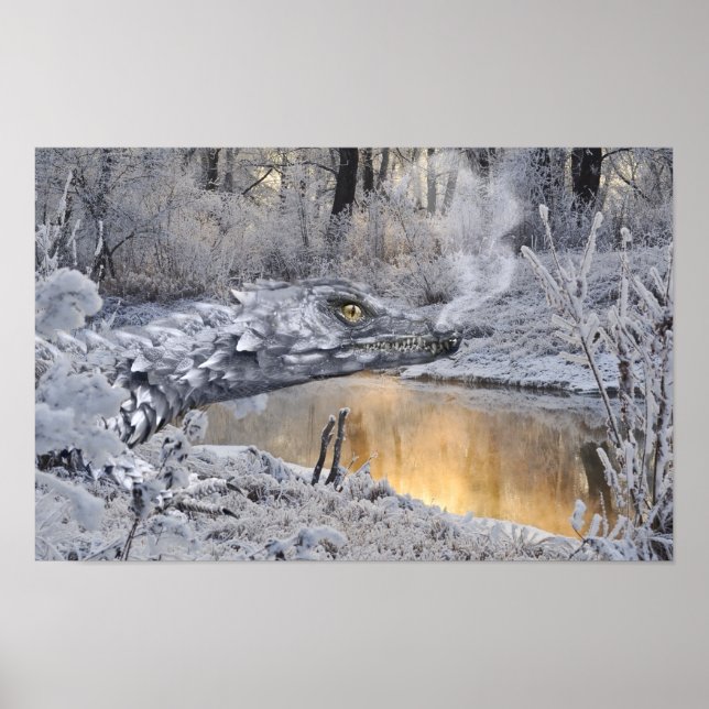 Poster Dragão PosterWinter (Frente)