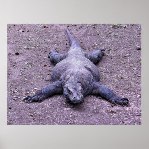 Poster Dragão preguiçoso