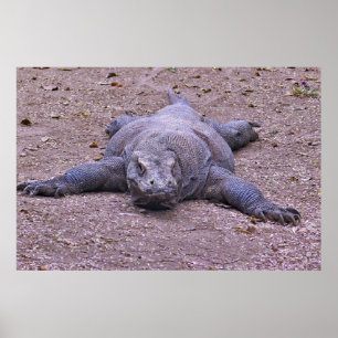 Poster Dragão Preguiçoso Saindo