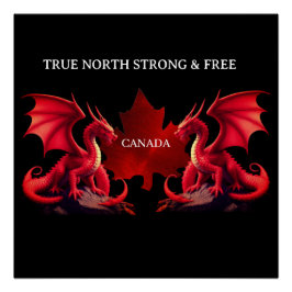 PÓSTER DRAGÕES DUPLOS DO CANADÁ