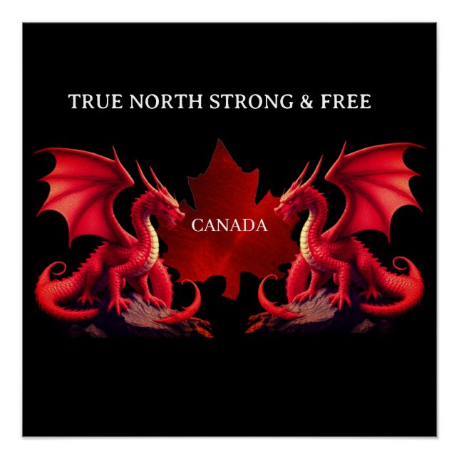 PÓSTER DRAGÕES DUPLOS DO CANADÁ (Frente)