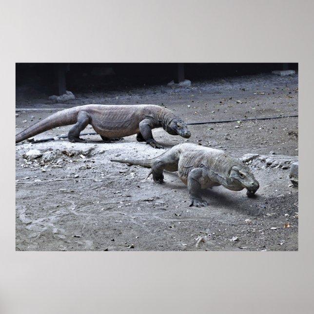 Poster Dragões sobre a patrulha (Frente)