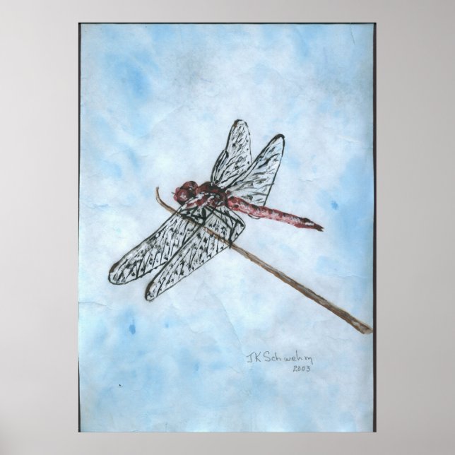 Poster Dragon Fly (Frente)