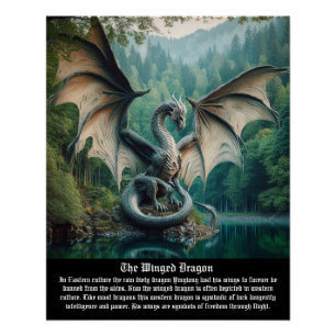 Póster Dragon Winged