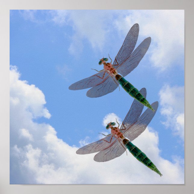 Póster Dragonflies Céu Azul E Nuvens Brancas (Frente)