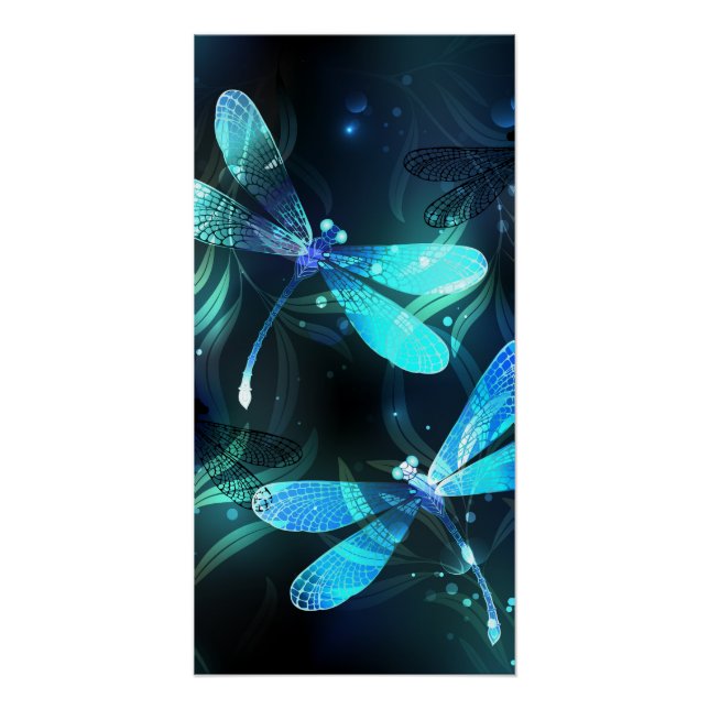 Póster Dragonflies de lago (Frente)