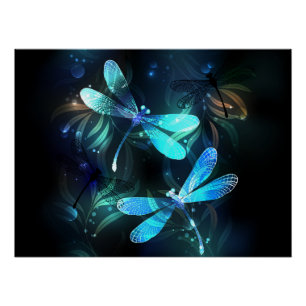 Póster Dragonflies de lago