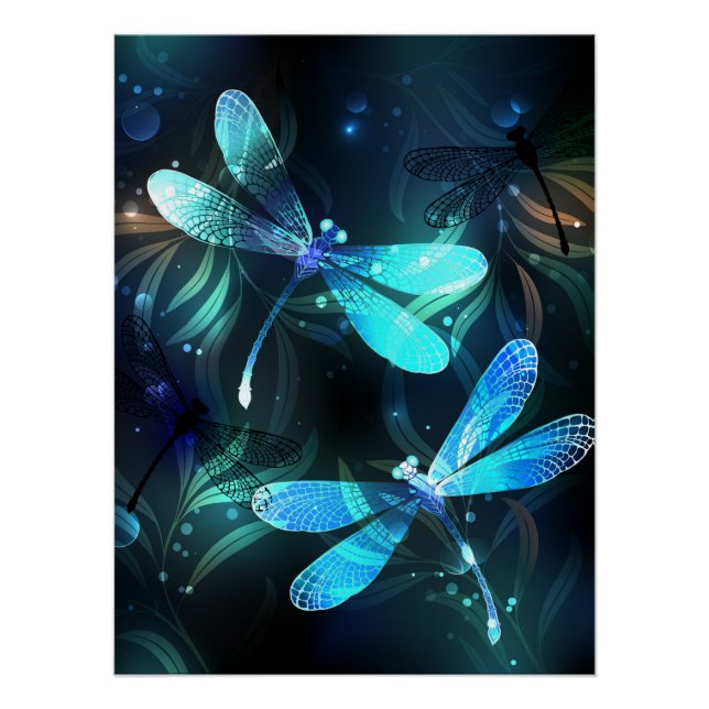Póster Dragonflies de lago (Frente)
