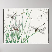 Dragonflies e Grass Reed de Morimoto Toko,