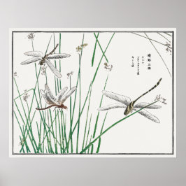Poster Dragonflies e Grass Reed de Morimoto Toko,