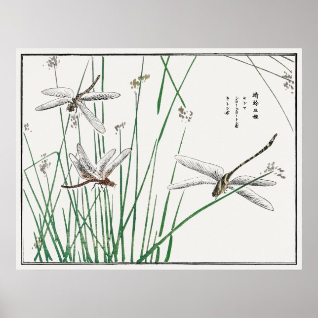 Poster Dragonflies e Grass Reed de Morimoto Toko, (Frente)