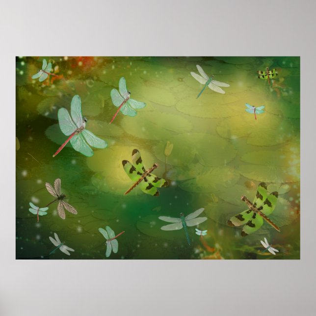 Poster Dragonflies e Water Lillies Trabalho de arte (Frente)
