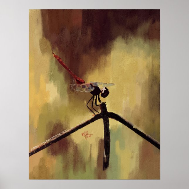 Póster Dragonfly (Frente)