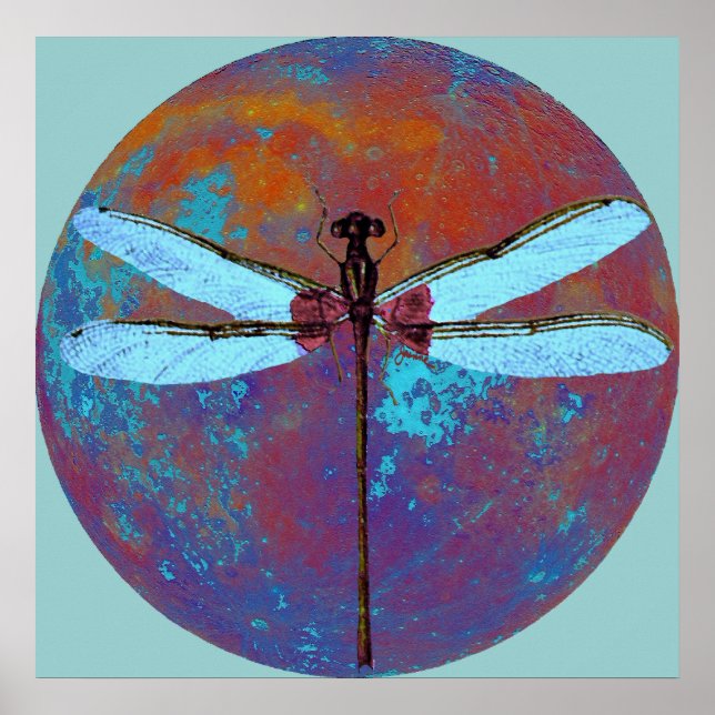 Póster Dragonfly (Frente)