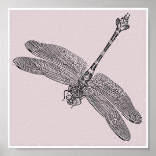 Póster Dragonfly
