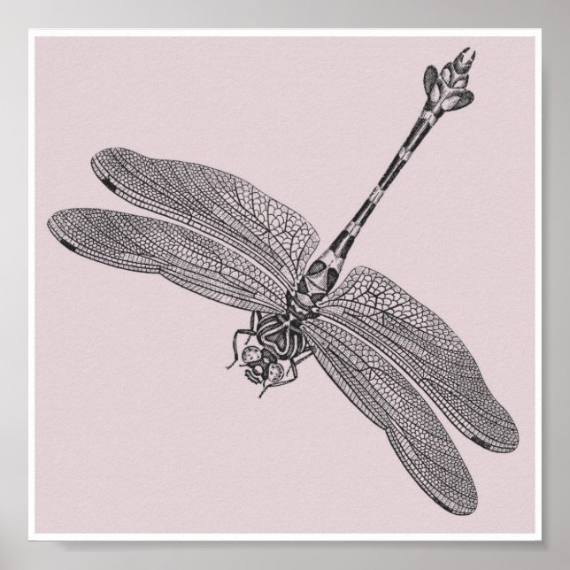 Póster Dragonfly (Frente)