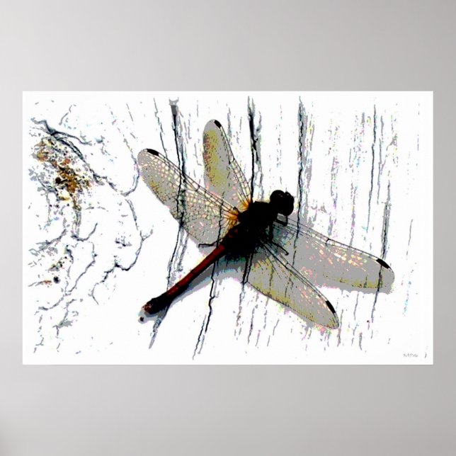Póster Dragonfly Art Fotografia (Frente)