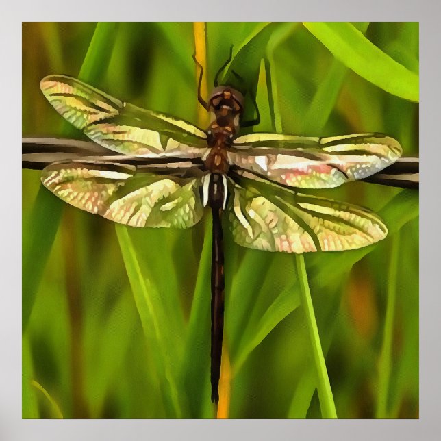 Póster Dragonfly Artística Em Castanho E Amarelo Em Verde (Frente)