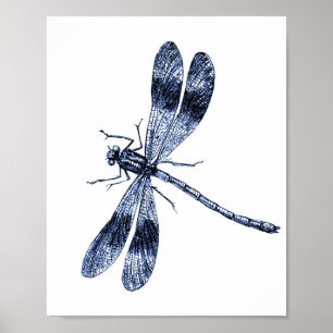 Poster Dragonfly - Azul