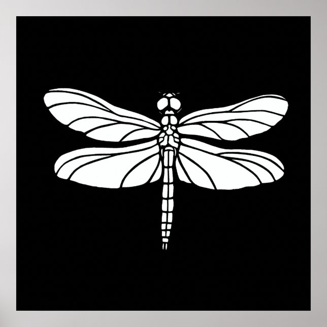 Poster Dragonfly branca (Frente)