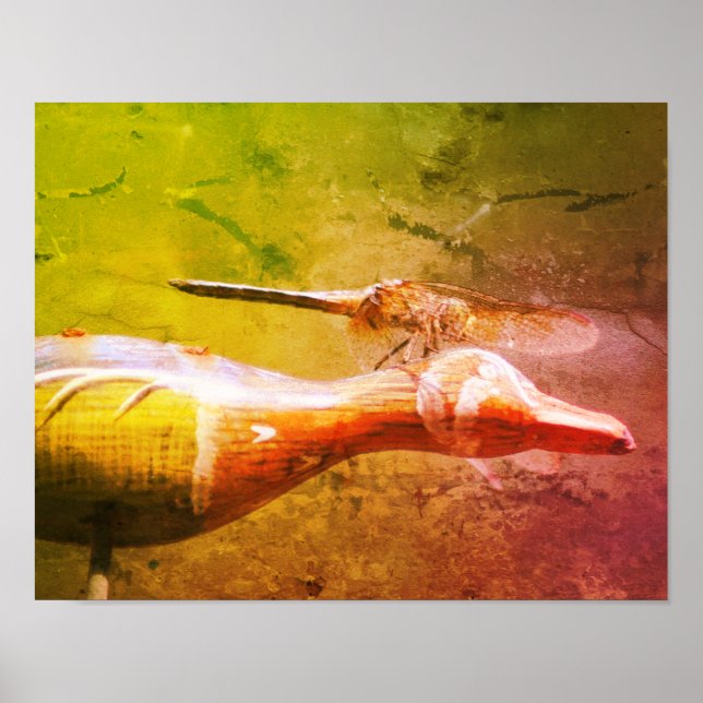 Poster Dragonfly Co Pilot Insect Abstrato Grunge (Frente)