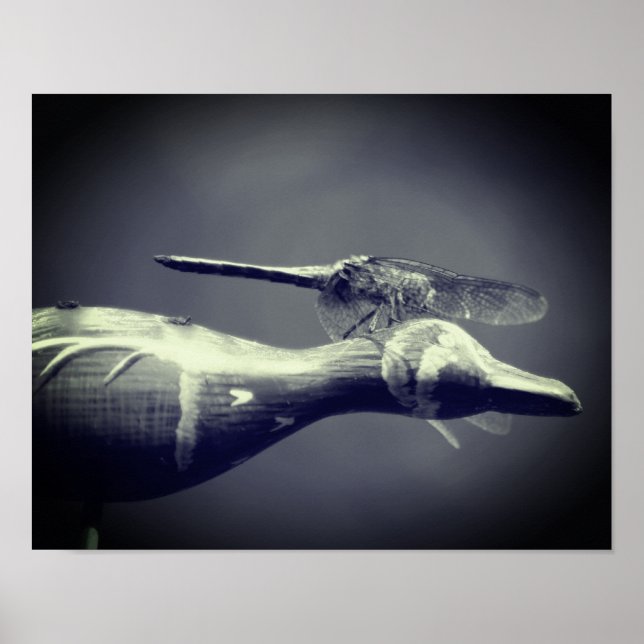 Poster Dragonfly Co Pilot Preto E Branco (Frente)