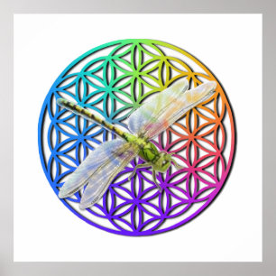Poster Dragonfly   colorful flower of life   chakra  