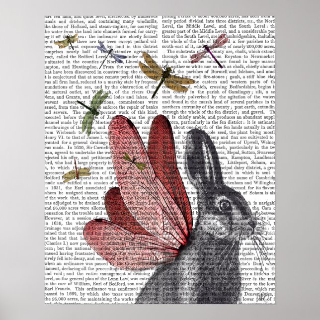 Póster Dragonfly Hare (Frente)