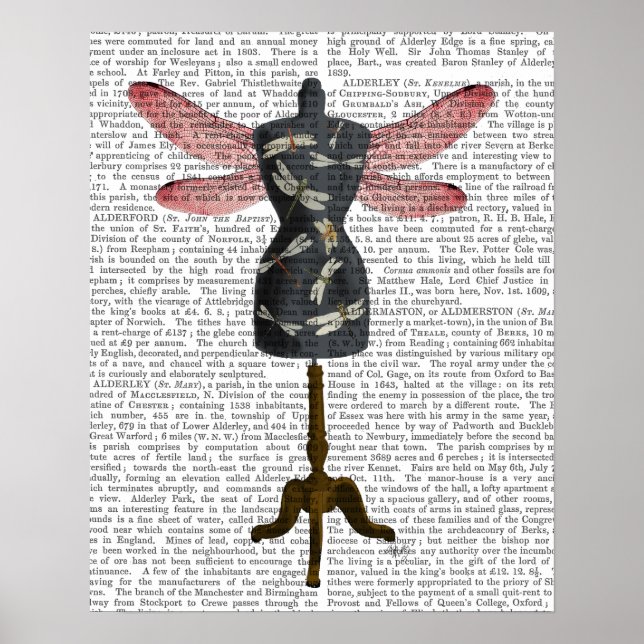 Poster Dragonfly Mannequin (Frente)