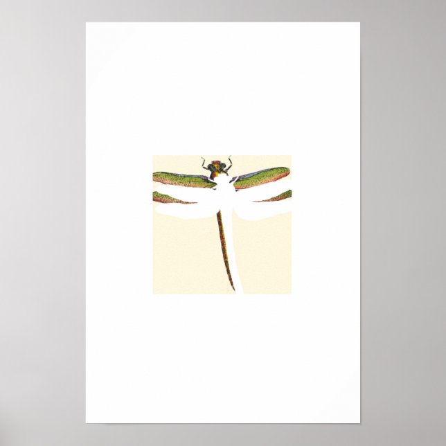 Póster Dragonfly Miniatura em Fundo Branco (Frente)