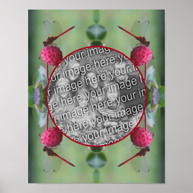 Poster Dragonfly Na Fruta Dogwood Crie Sua Própria Foto (Frente)