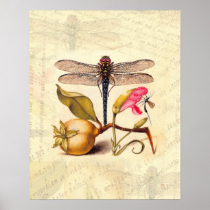 Poster Dragonfly, Pear, Cravo e Insetos