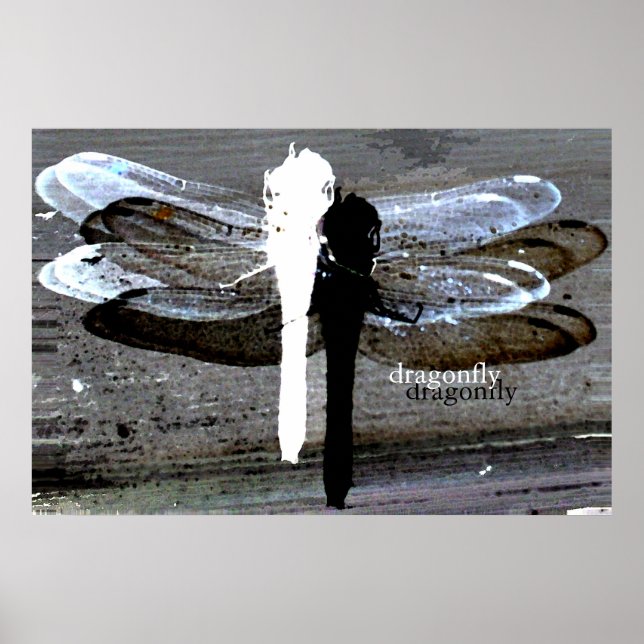 Poster Dragonfly (separação a preto e branco) (Frente)