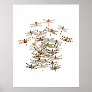 Póster Dragonfly Swarm