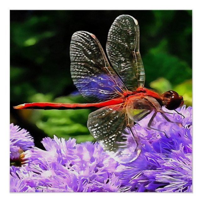 Póster Dragonfly Vermelha em Flores Violetas Roxos (Frente)