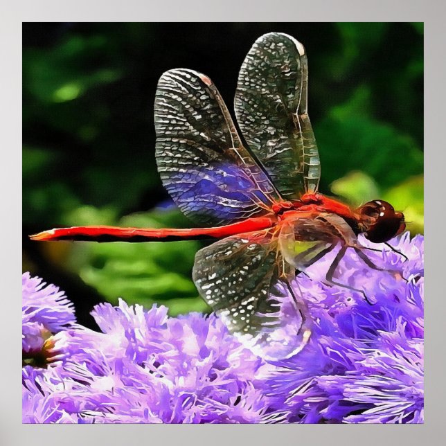 Póster Dragonfly Vermelha em Flores Violetas Roxos (Frente)