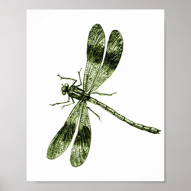 Poster Dragonfly Vintage - Verde Claro (Frente)