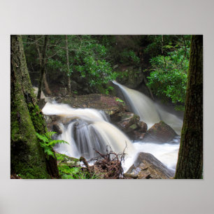 Poster Drakes Creek Falls