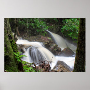 Poster Drakes Creek Falls