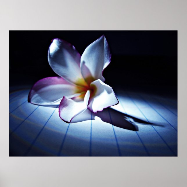 Póster DRAMA (edt) (Frente)