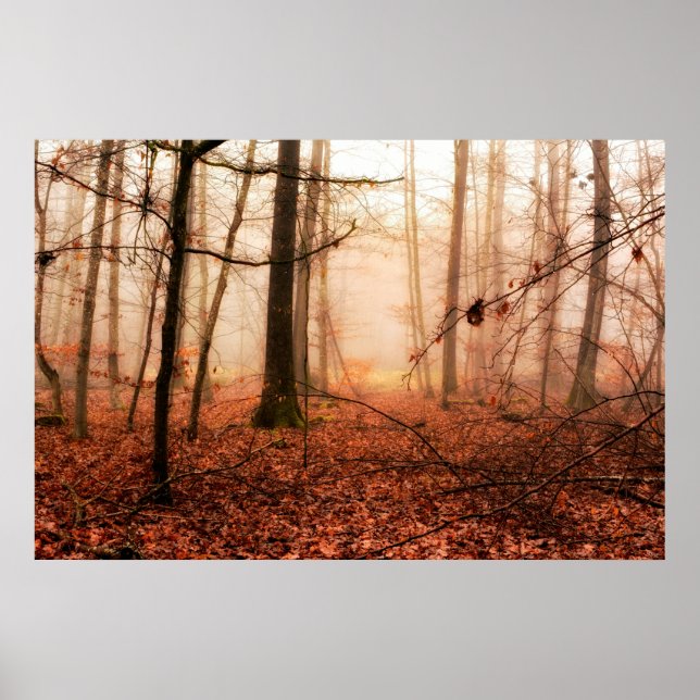 Poster Dramatic red foggy winter snowless forest (Frente)