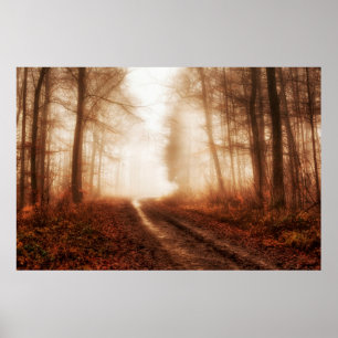 Póster Dramatic red foggy winter snowless forest