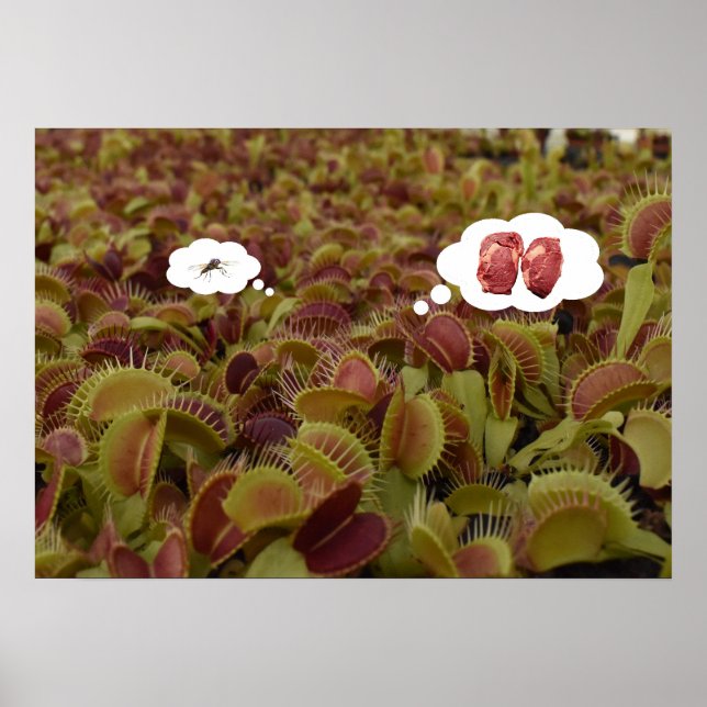 Poster Dream Big not small. (Frente)