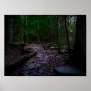 Poster Dreamland Woodland com Rock Trail
