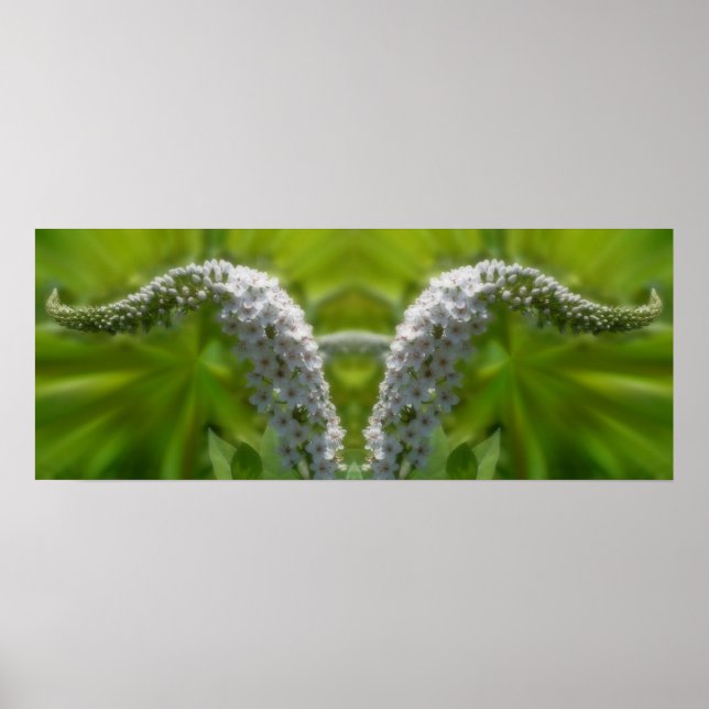 Poster Dreamling Curling White Wildflower Abstrato (Frente)
