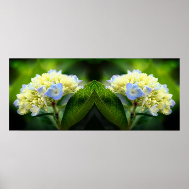 Poster Dreamy Blue Hydrangea Flower Mirror Abstrato (Frente)