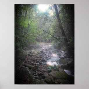 Poster Dreamy Forest Light